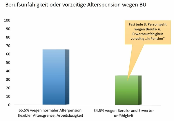 Amicas Wirtschaftsbilanz - Statistikservice